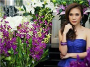 Bóng đá anh, ngoại hạng anh, lịch thi đấu euro 2012, Mỹ Tâm nói về “điều tiếng” với Đăng Khôi và đạo diễn Khải Hưng